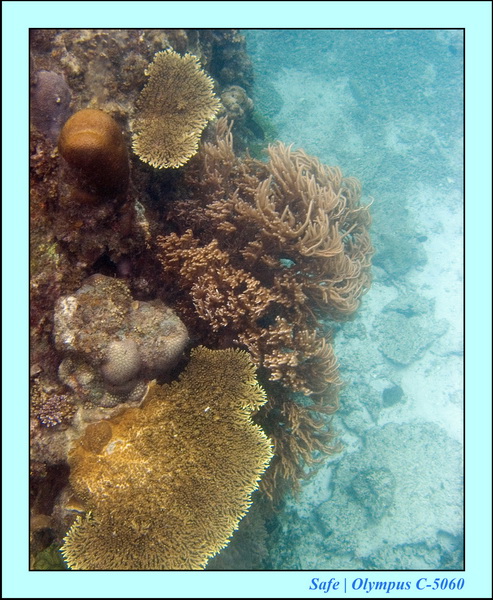 2006 - 07 - Perhentian - Plongee 08